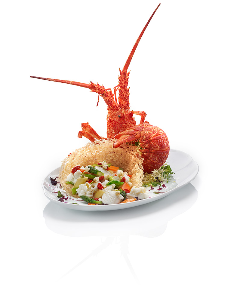 澳大利亚龙虾, Australian Lobster